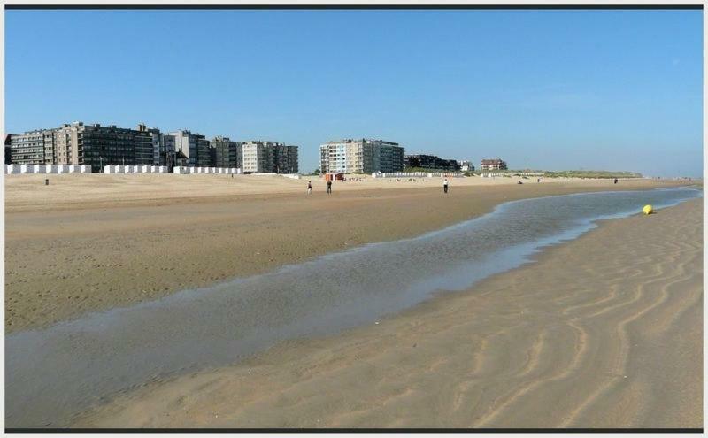 Zeezicht Oostduinkerke - Amu-Zee-Vous Apartment Bagian luar foto